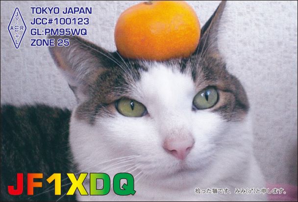 imageJF1XDQ